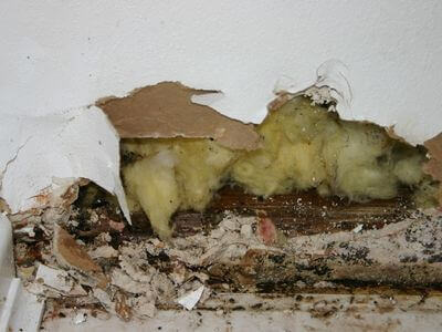 About Water Damage Restoration Wausau - water damage restoration experts in Wausau